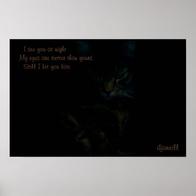 Poster Je vous vois la nuit Cat Haiku (Devant)