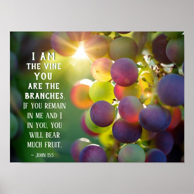 Poster Jean 15:5 Je suis la vigne Vous êtes les branches  (Devant)
