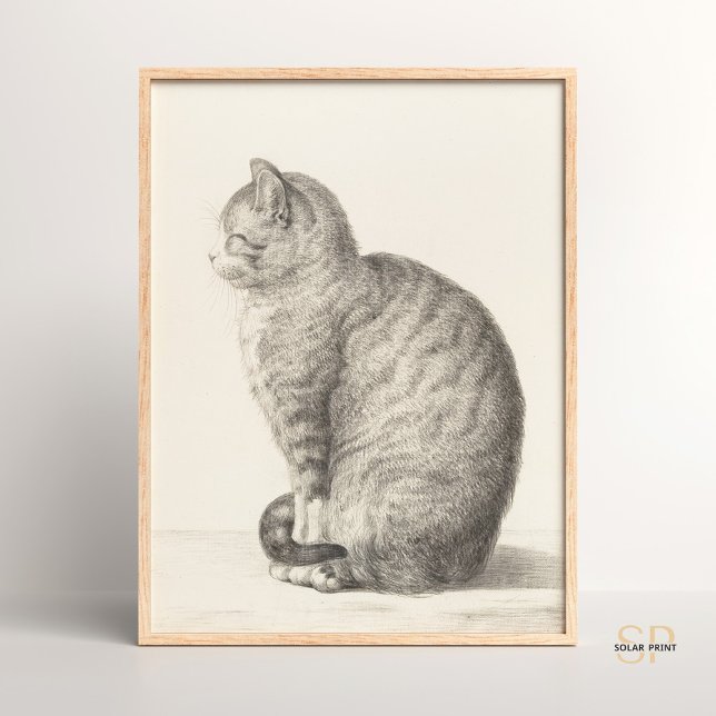 Poster Jean Bernard Assis Chat Animal Art Artiste (Créateur téléchargé)