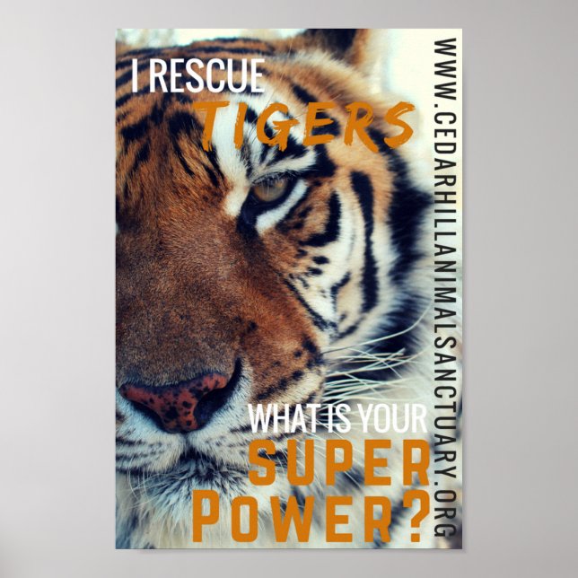 Poster J'économise la super puissance des tigres (Devant)