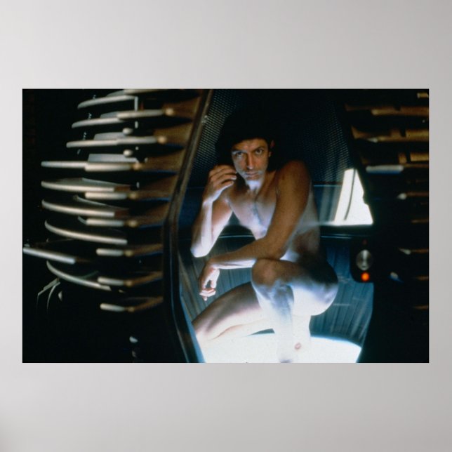 Poster Jeff Goldblum La Volée (Devant)