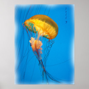 Poster jelly_2646_Peinture