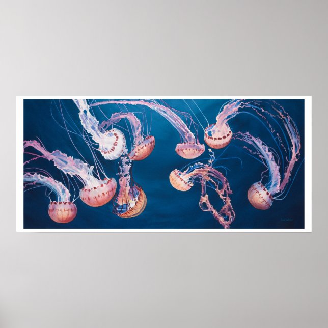 Poster Jellyfish Jam par Paul Jackson, aws, news (Devant)