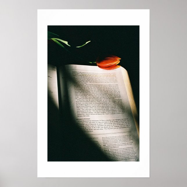 Poster Jeremiah (Devant)