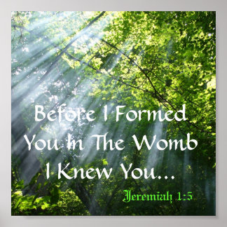 POSTER JEREMIAH 1:5 - BOIS