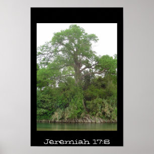 Poster Jérémie 17:8