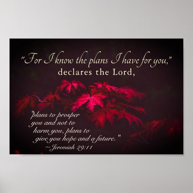 Poster Jérémie 29:11 Car je connais les plans que j'ai po (Devant)