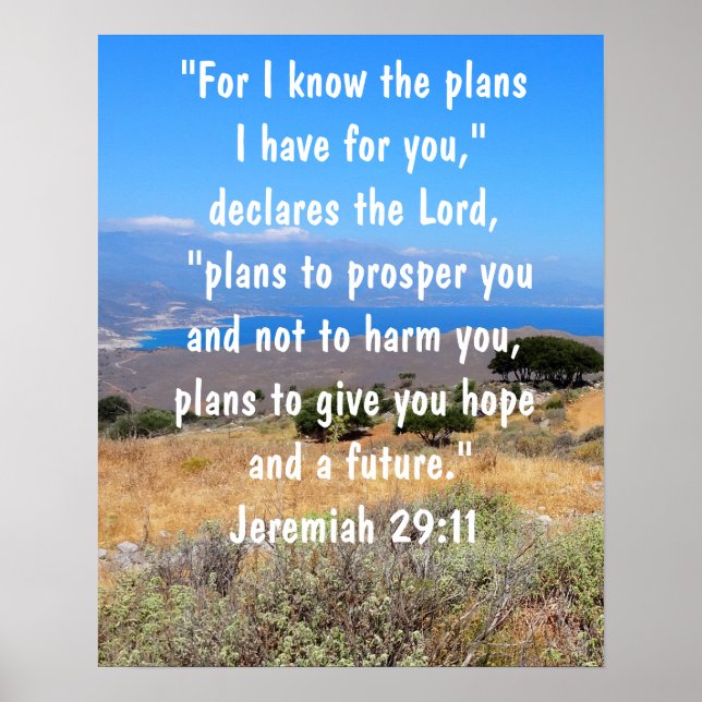 Poster Jérémie 29:11 Plans de Dieu Bible Verse Vibrant (Devant)