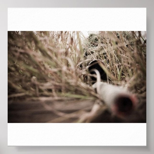 Poster jerry (Devant)