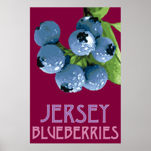 Poster Jersey_Blueberries