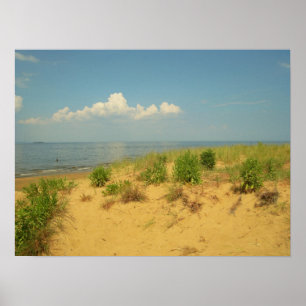 Poster Jersey Shore 2