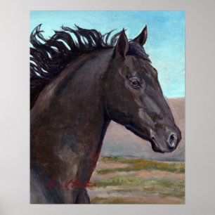 Poster Jet : Bande Stallion Du Bassin De Lavage De Sable