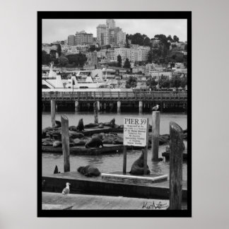 Poster Jetée 39