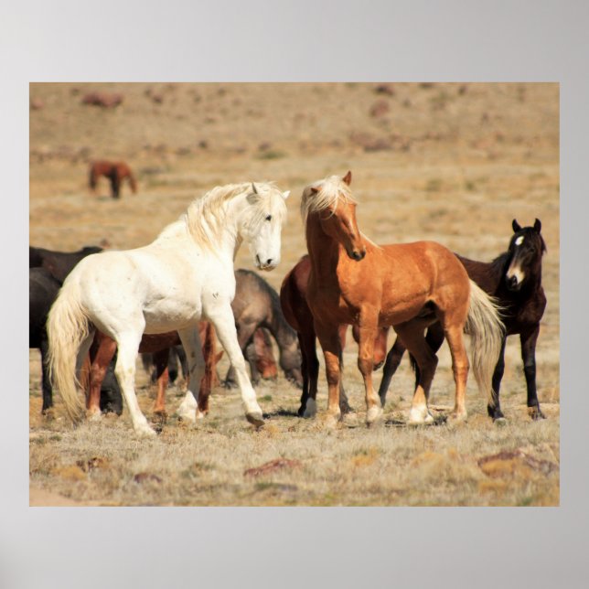 Poster Jeu d'alimentation (Devant)