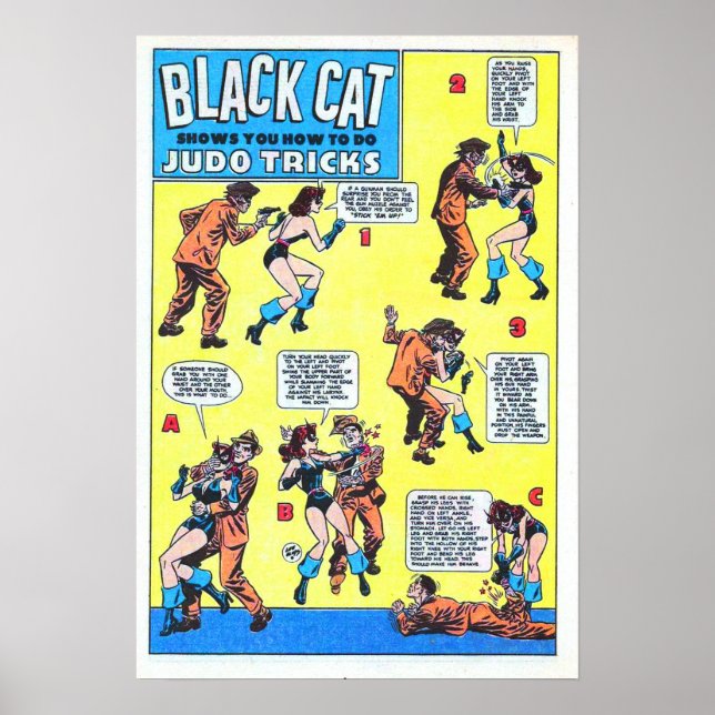 Poster Jeu de chat noir (Devant)