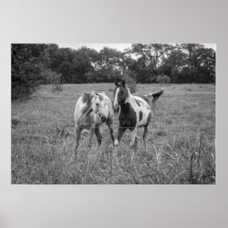 Poster Jeu de chevaux