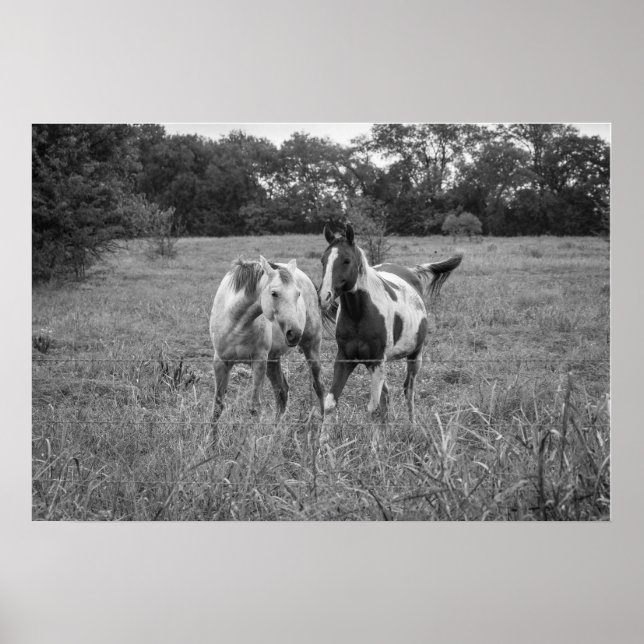 Poster Jeu de chevaux (Devant)