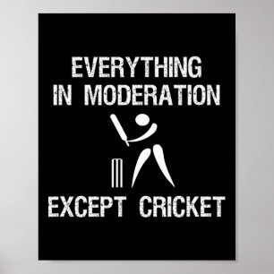 Poster Jeu de cricket - Modération drôle - Joueur 