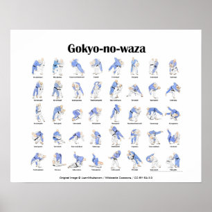 Poster Jeu de judo
