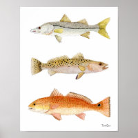 Jeu de mer Poisson - Snook, Seatrout & Redfish
