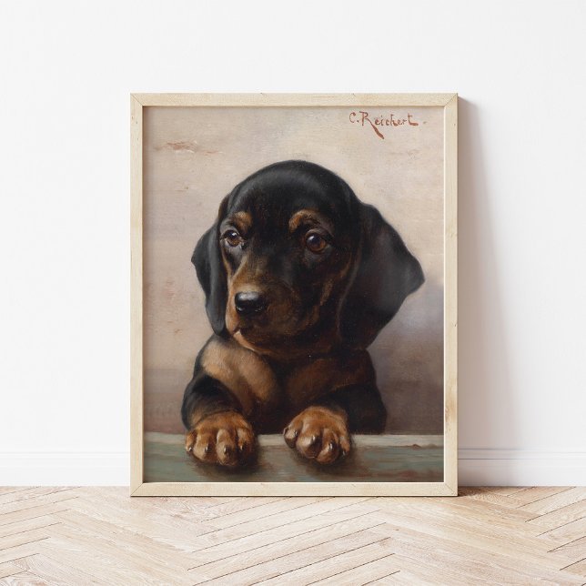 Poster Jeune Dachshund | Carl Reichert (Créateur téléchargé)