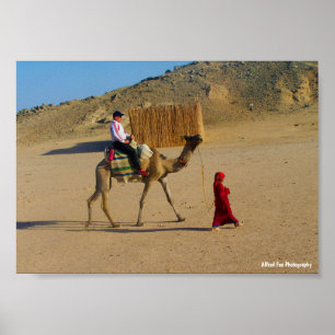 Poster Jeune Fille Avec Chameau