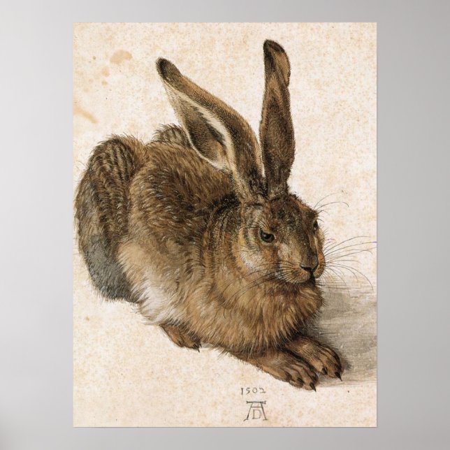 Poster 'Jeune lièvre' (Devant)