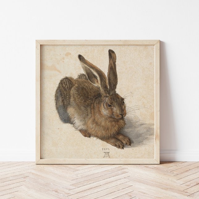 Poster Jeune lièvre | Albrecht Dürer (Créateur téléchargé)