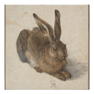 Poster Jeune lièvre (Durer 1502)