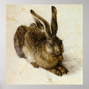 Poster Jeunes lièvres de `' par Albrecht Dürer