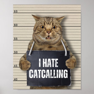 Poster J'Hais Catvocation