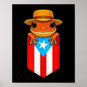 Poster Jibaro Coqui Frog Porto Rico Drapeau Boricua Cket