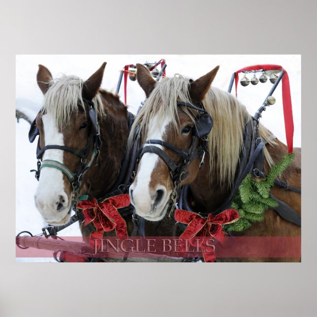 Poster Jingle Bells (Devant)