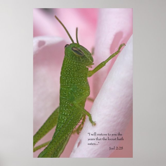 Poster Joel 2 Scripture (Devant)