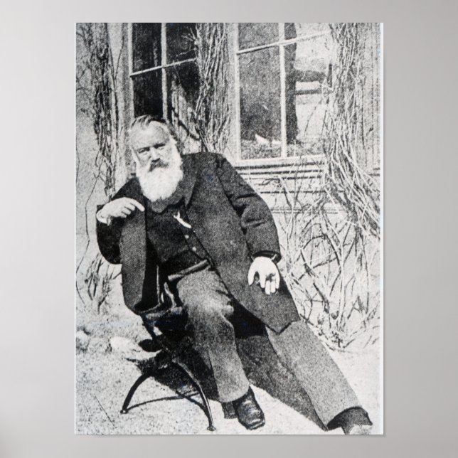 Poster Johannes Brahms, c.1897 (Devant)
