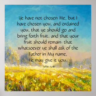 Poster John 15:16