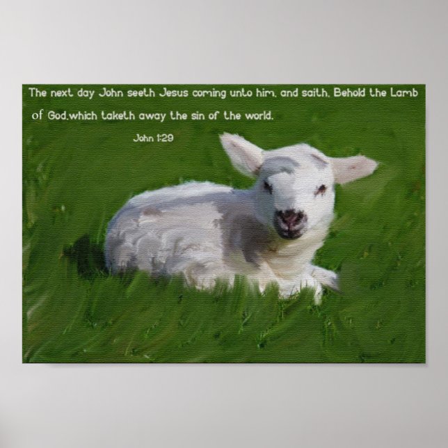 Poster John 1:29 (Devant)