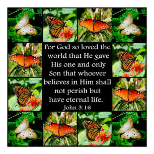 POSTER JOHN 3:16 BUTTERFLY DESIGN