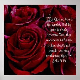 Poster John 3:16 tirage de roses rouges