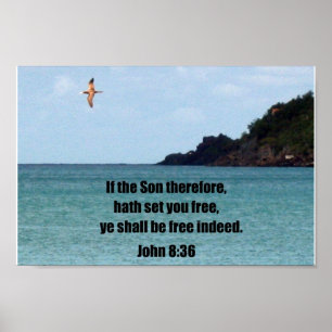 Poster John 8:36