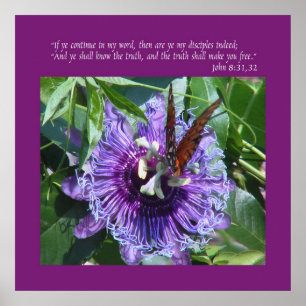 Poster John 8 copies/affiches de 31:32