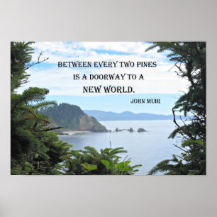 Poster John Muir : "Entre deux pins est une porte"