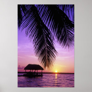 Poster John Pennekamp State Park, Florida Keys, Key