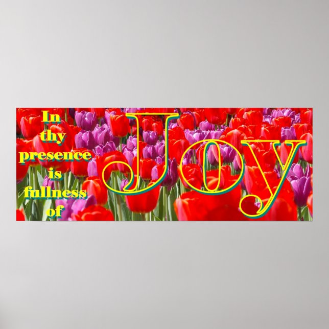 Poster Joie (Devant)