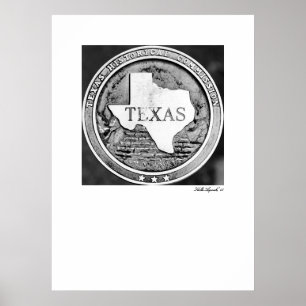 Poster Joint de société historique du Texas en bronze