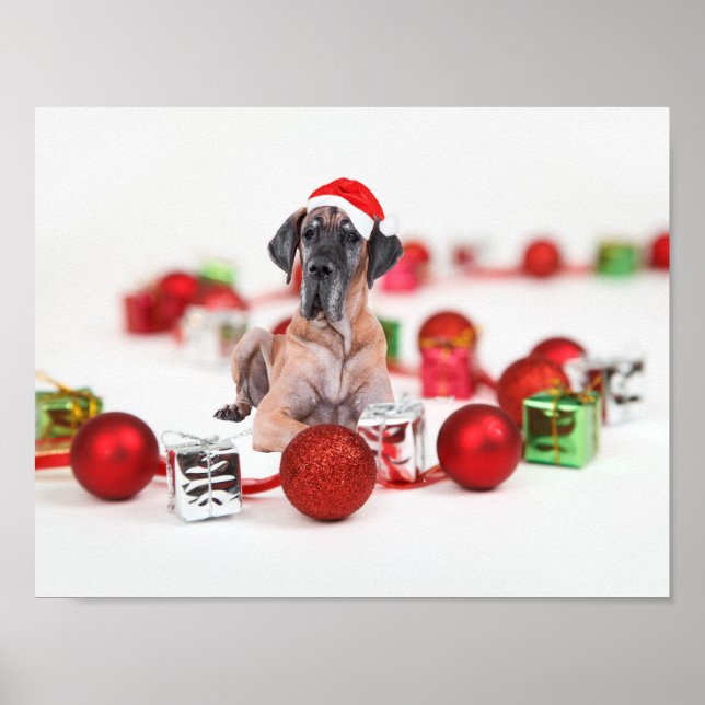 Poster Joli chien Danse Noël Santa Hat (Devant)