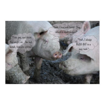 Joli Cochon 'Spa' Boue et bain de boue