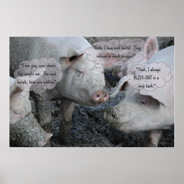 Poster Joli Cochon 'Spa' Boue et bain de boue (Devant)