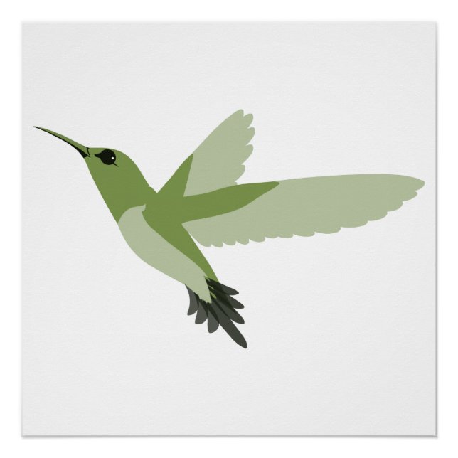 Poster Joli colibri vert (Devant)