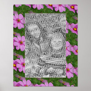 Poster Joli Cosmos rose Fleur Design Cadre Photo